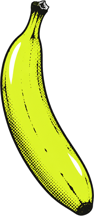 Banana, 7 inches, for scale